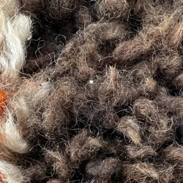 A warm medium brown color swatch from the Atlas collection, with a muted orange undertone.