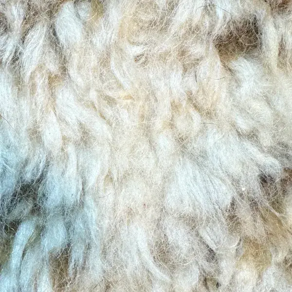 Light gray diamond rug on a white background.