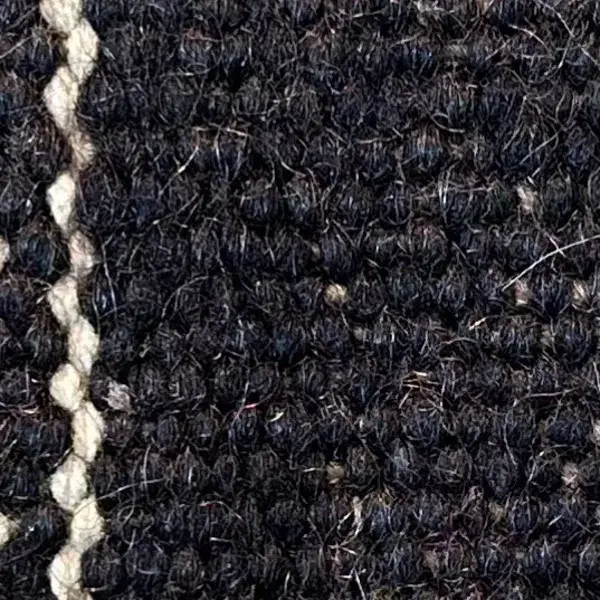 Dark charcoal gray color swatch